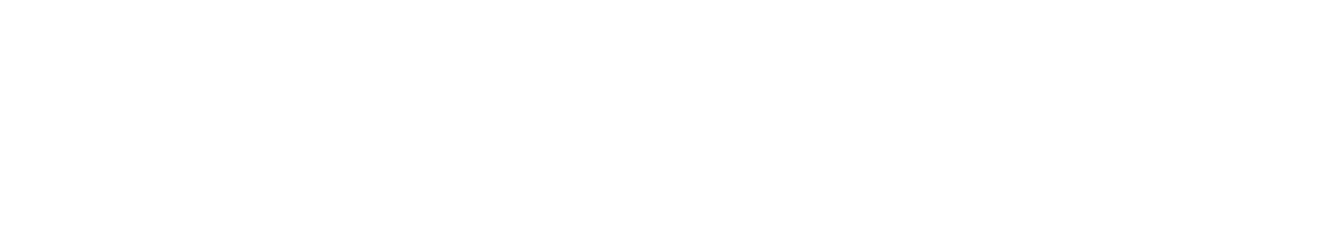 Fondetur